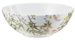 Raynaud, Paradis, Salad bowl