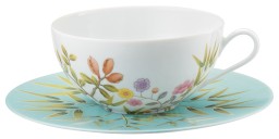 Raynaud, Paradis, Tea cup white background and saucer turquoise background