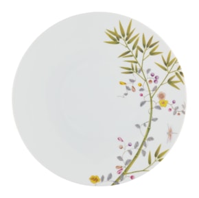Raynaud, Paradis, Dinner plate