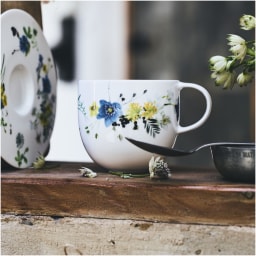 Rosenthal, Brillance Fleurs des Alpes, Set of 2 mugs with coupe saucers and 2 coupe plates