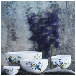 Rosenthal, Brillance Fleurs des Alpes, Salad bowl small