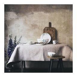 Rosenthal, Brillance Fleurs des Alpes, Creamer