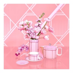 Rosenthal, Swarovski Signum, Tea cup and saucer