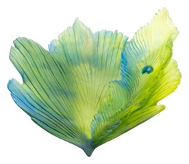 Daum, Fleur de Paon Exotique, Medium bowl