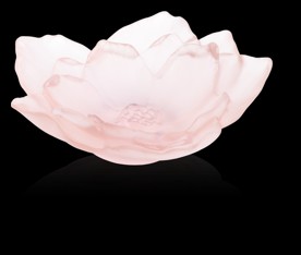 Daum, Camelia bowls and flowers, Small bowl, pink