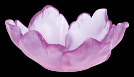 Daum, Tulipe bowls, Small ultraviolet bowl