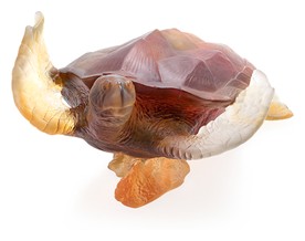 Daum, Mer de Corail sculptures, Large amber grey sea turtle