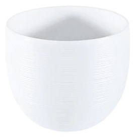 J.L Coquet, Hémisphère White Satin, Culbuto