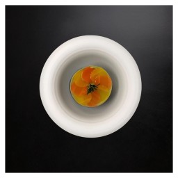 J.L Coquet, Hémisphère White Satin, Bubble cup, large