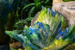 Daum Fleur de Paon Exotique