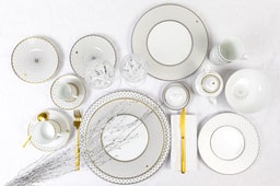 Robert Haviland & C. Parlon Home Platinum