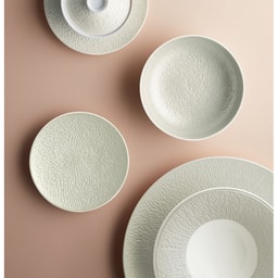 Raynaud Minéral irisé Shell