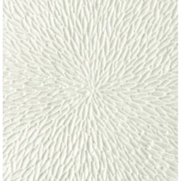 Raynaud Minéral irisé Shell