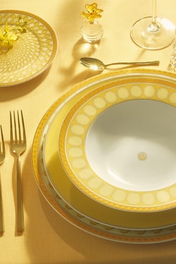 Rosenthal Swarovski Signum