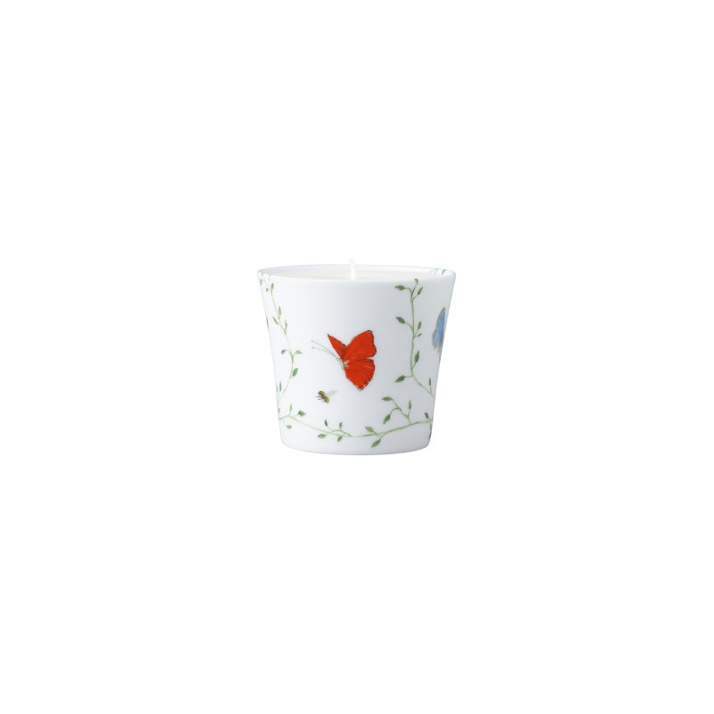 Raynaud, Histoire naturelle, Candle pot