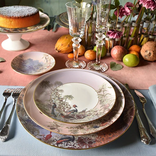 Haviland, Le Brésil, Dinner plate