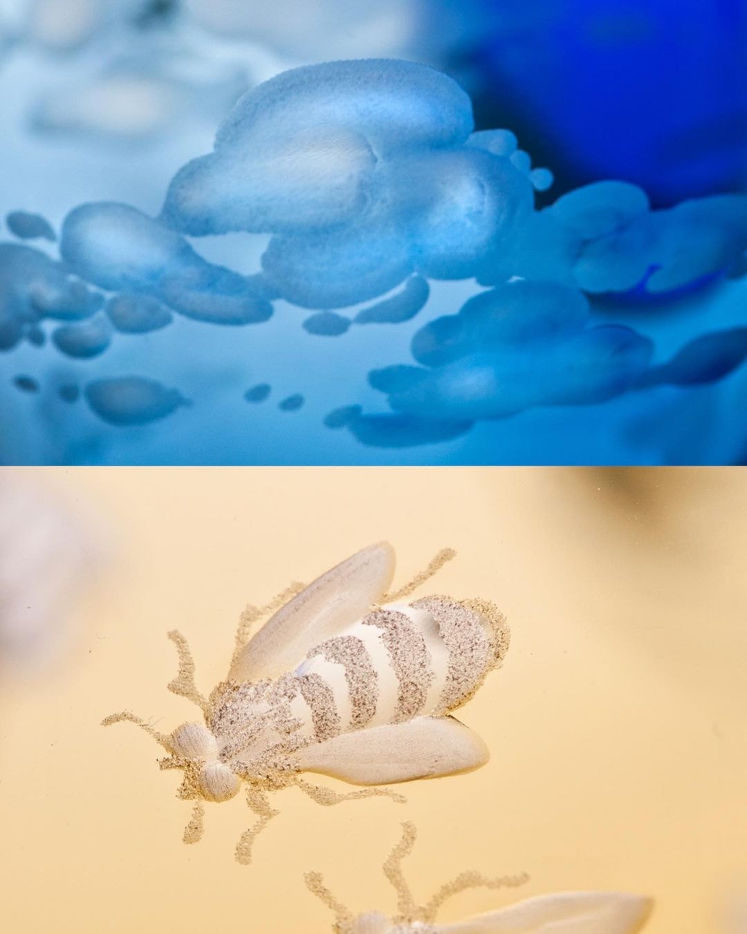Theresienthal, Planet Earth, Tumbler, bee engravings