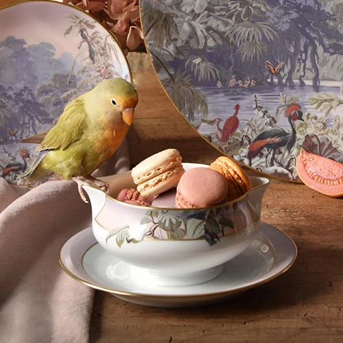 Haviland, Le Brésil, Gravy boat