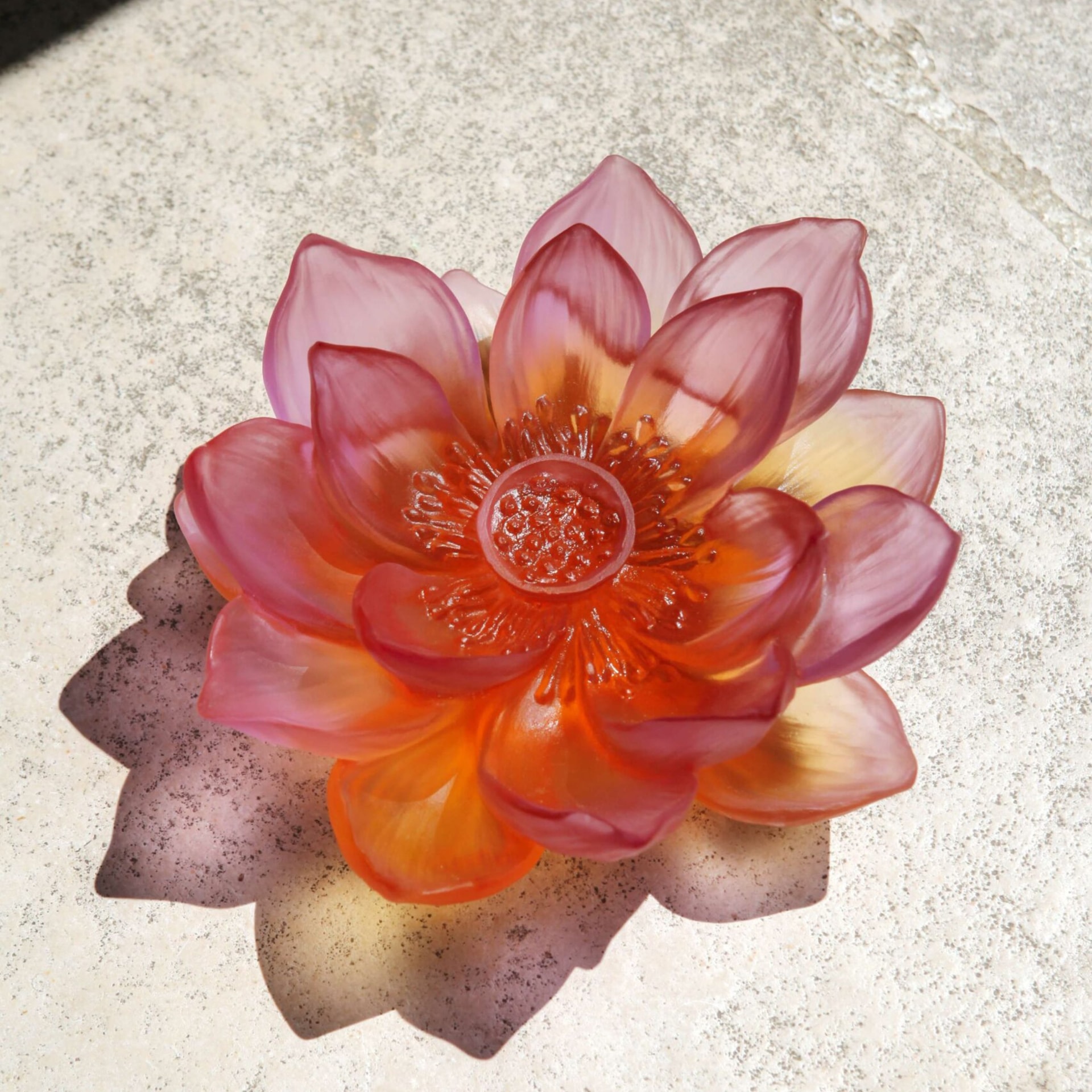 Daum, Jardin de Lotus, Decorative flower, amber pink