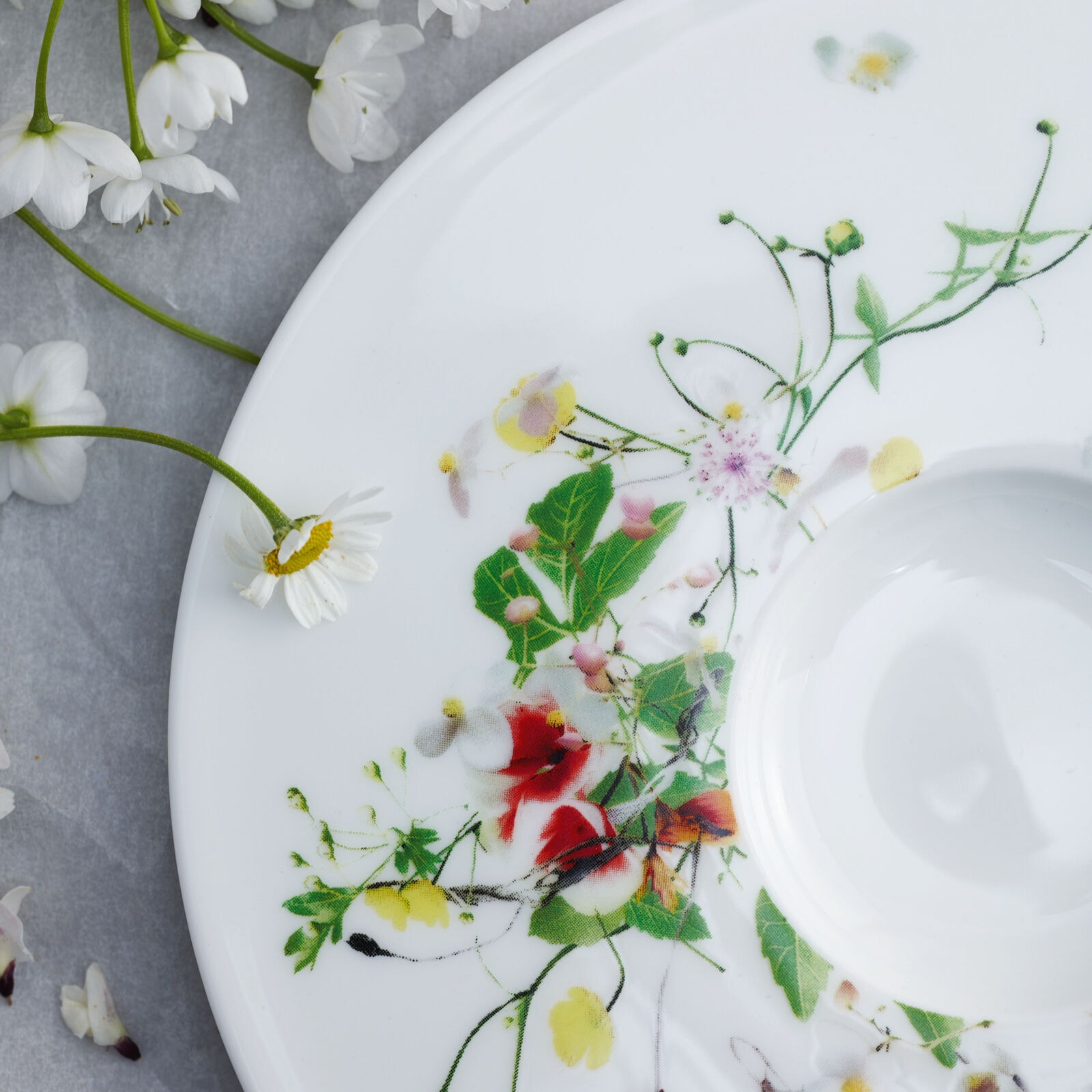 Rosenthal, Brillance Fleurs Sauvages, Coupe combi saucer