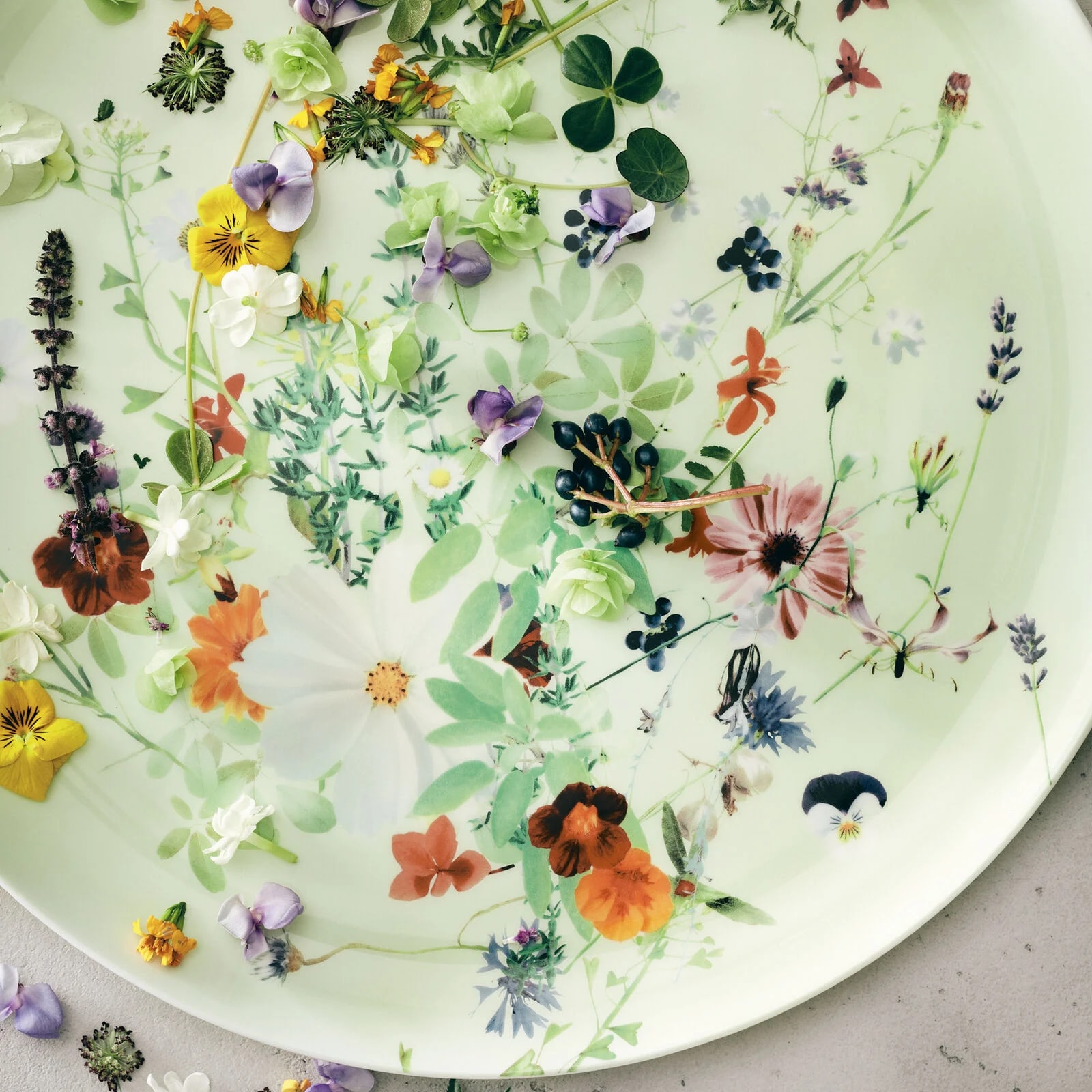 Rosenthal, Brillance Grand Air, Bread and butter rim plate