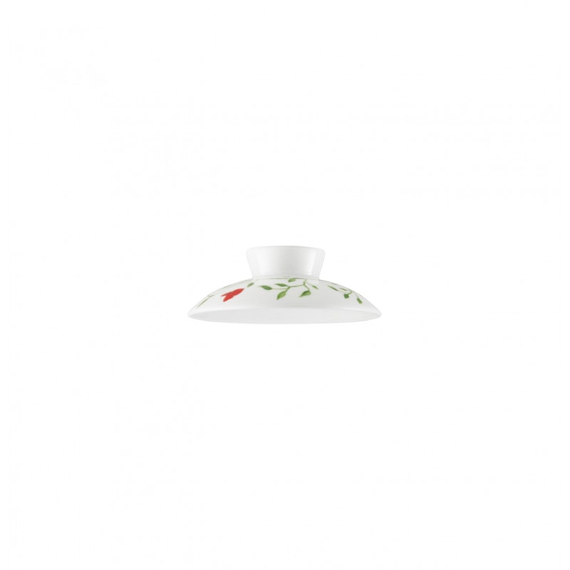 Raynaud, Histoire naturelle, Chinese tea cup lid
