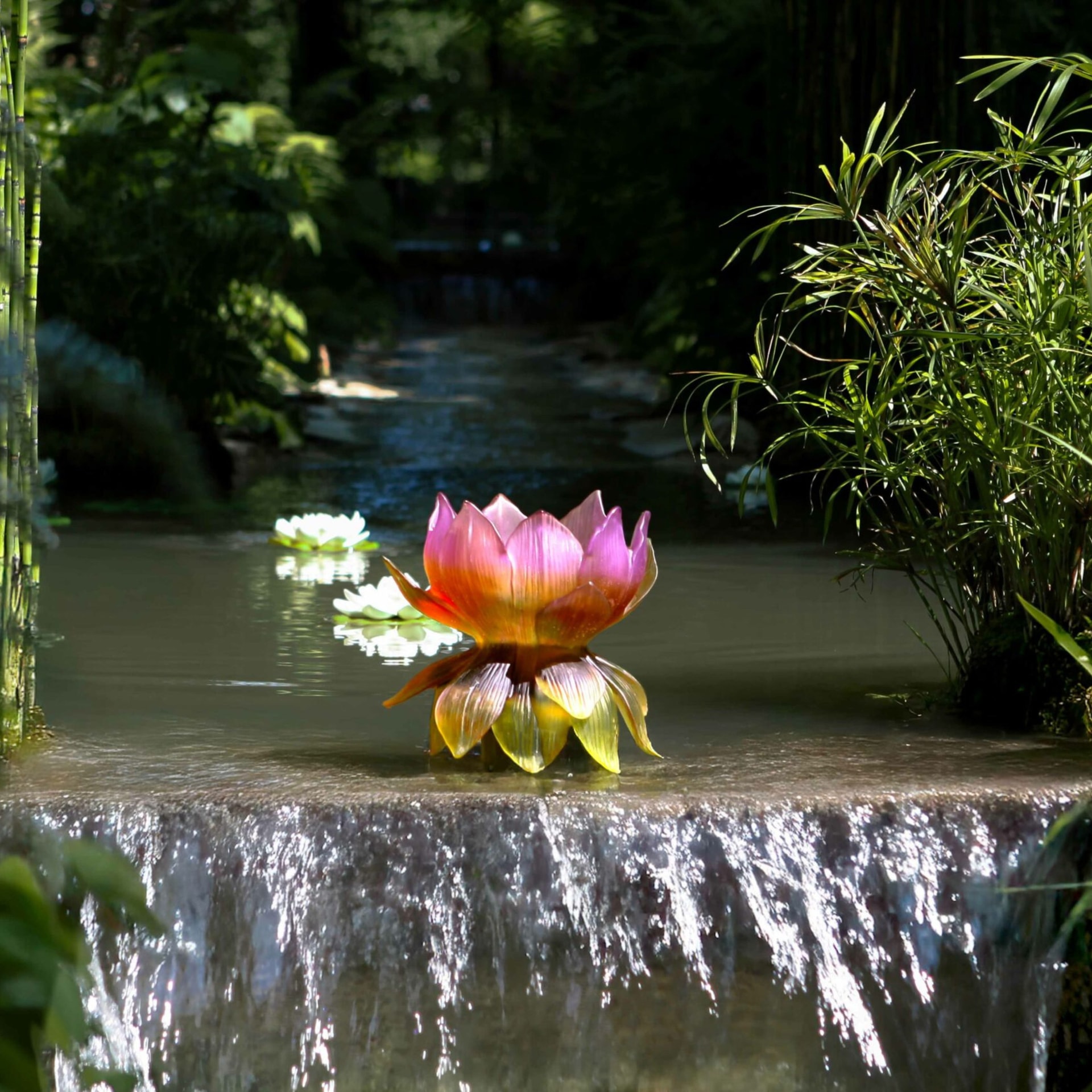 Daum, Jardin de Lotus, Medium vase, limited edition