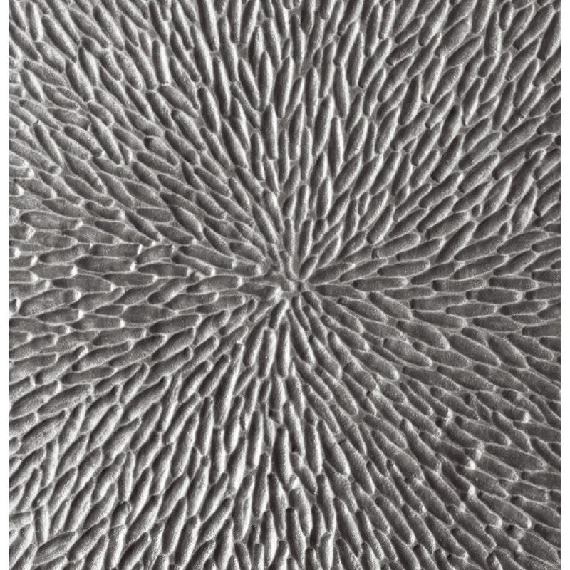 Raynaud, Minéral irisé Dark Grey, Coupe plate deep