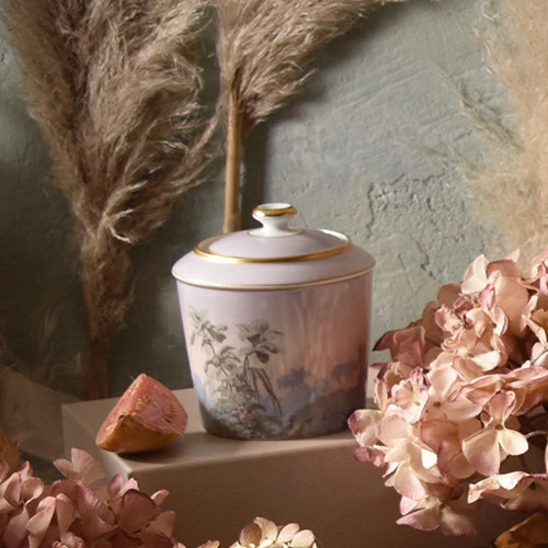 Haviland, Le Brésil, Sugar bowl