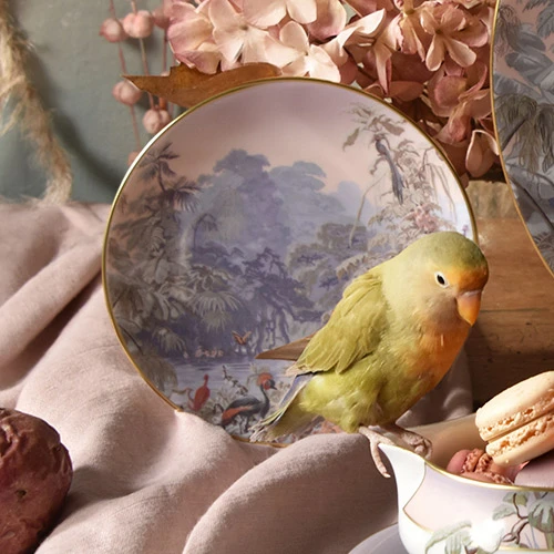 Haviland, Le Brésil, Bread and butter plate