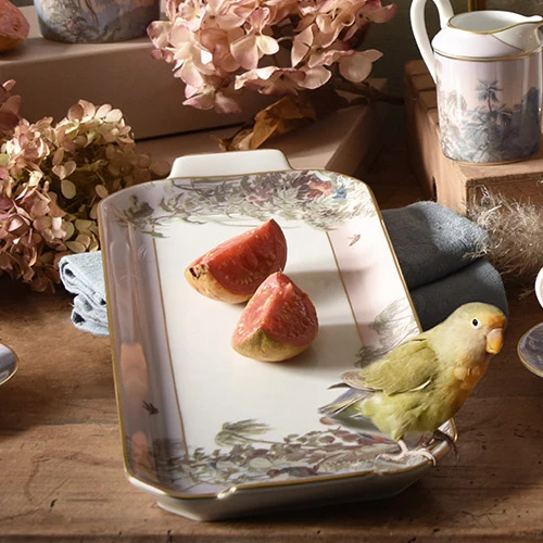 Haviland, Le Brésil, Rectangular cake platter