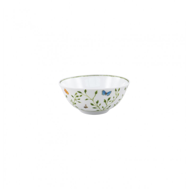 Raynaud, Histoire naturelle, Chinese soup bowl