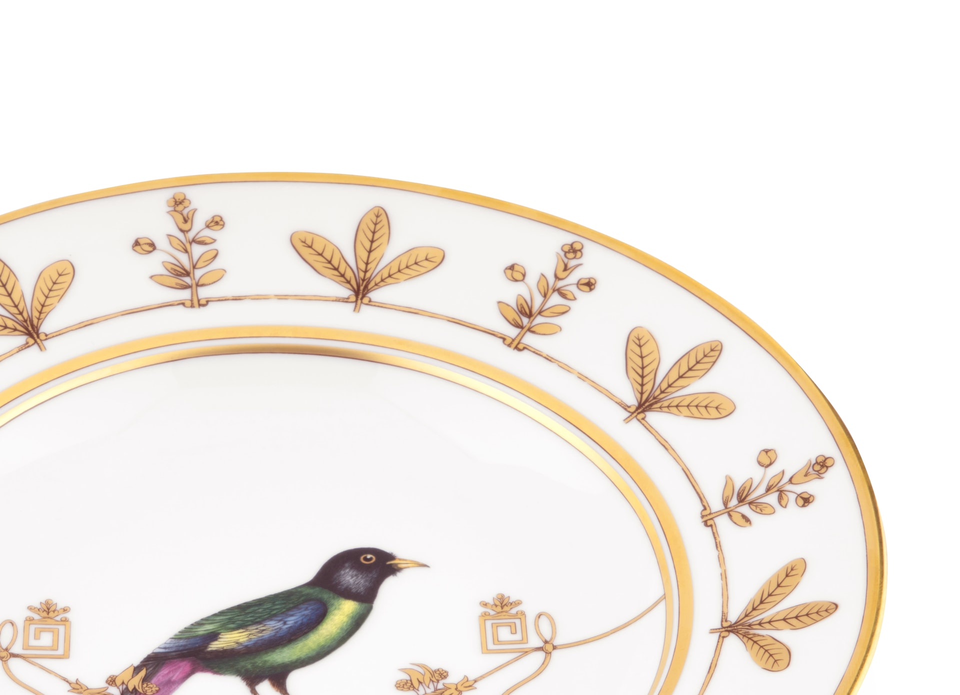 Ginori 1735, Voliere, Soup plate