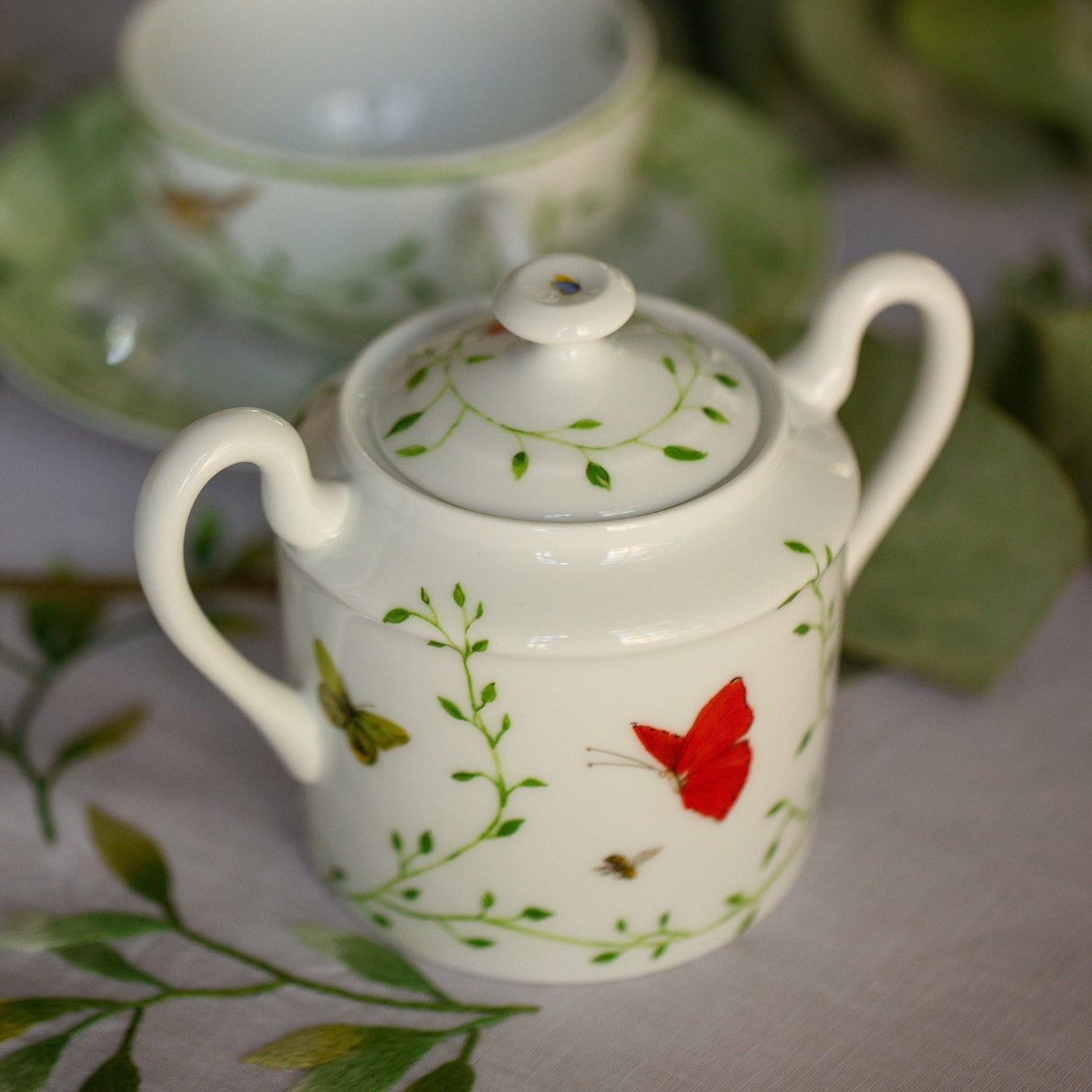 Raynaud, Histoire naturelle, Sugar bowl
