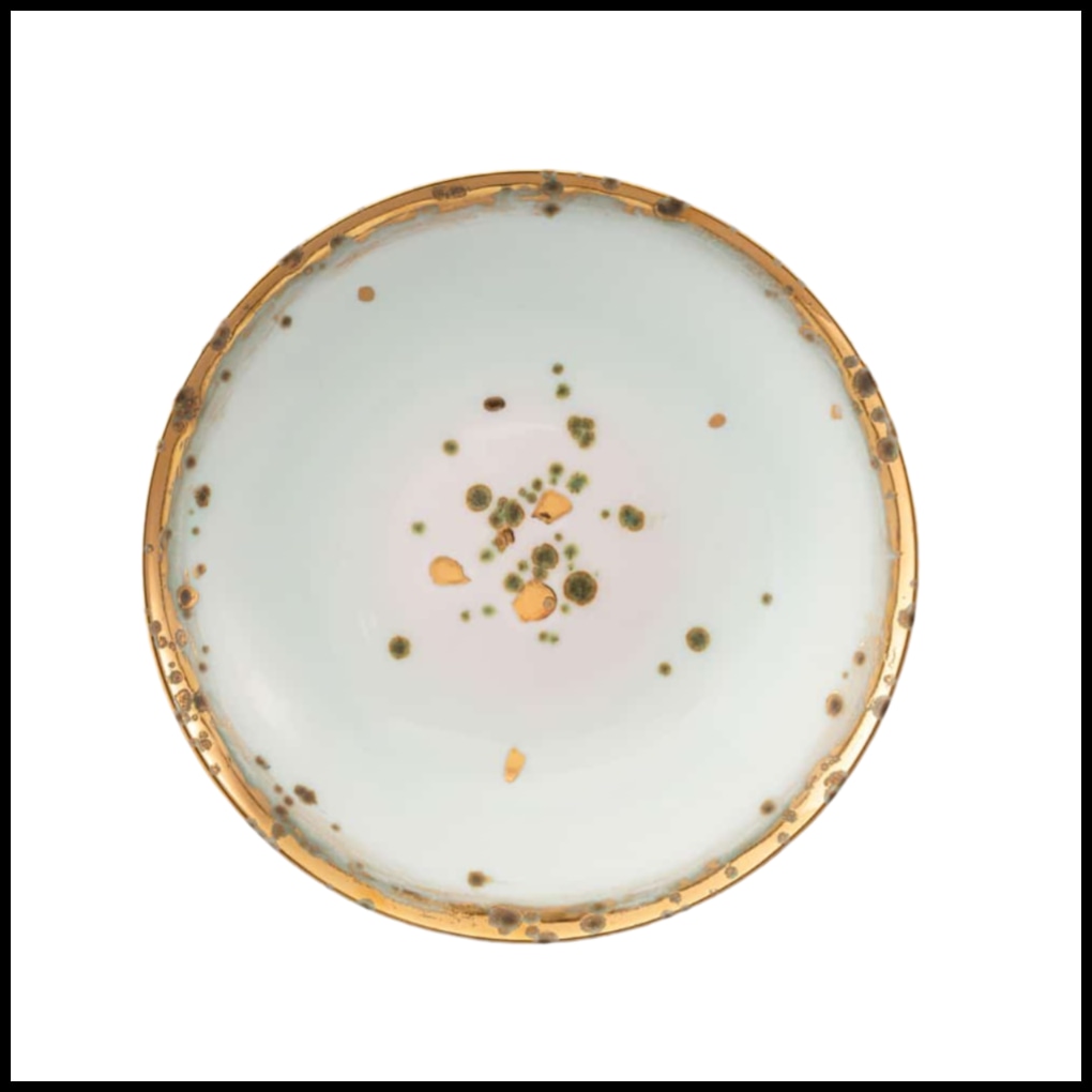 Coralla Maiuri, Michelangelo, Soup plate