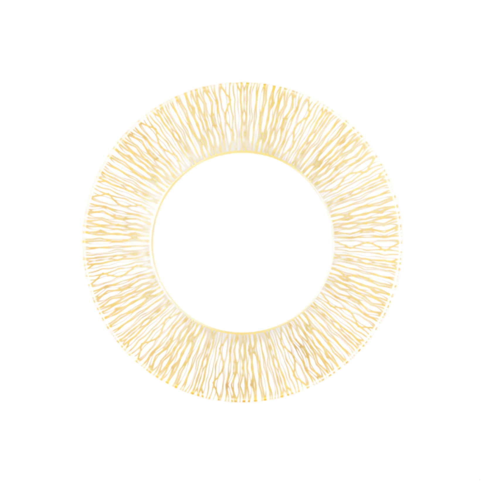 Robert Haviland & C. Parlon, Fil d'or, Dinner plate