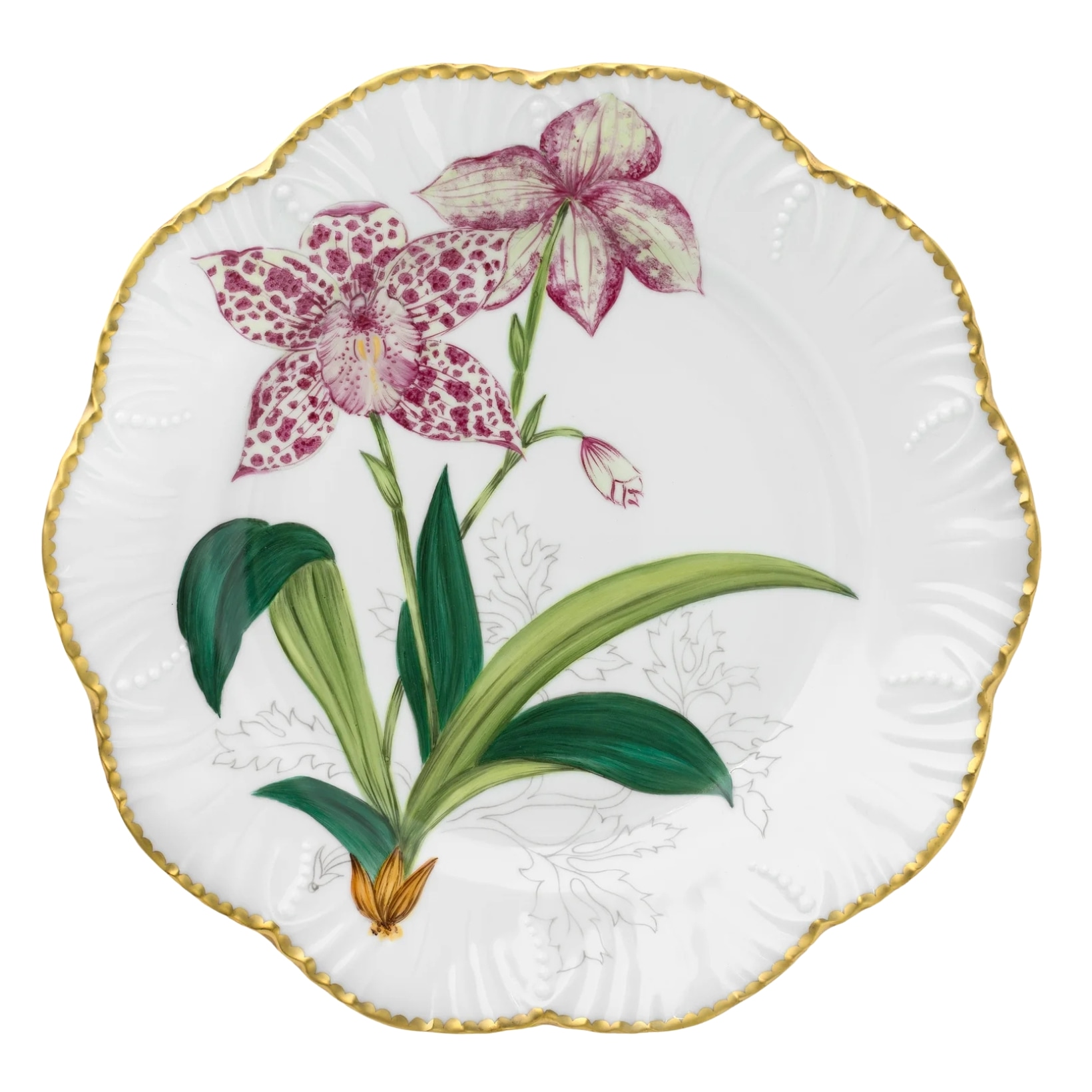Pinto, Histoire d’Orchidées, Dinner plate, zygocolax rubida