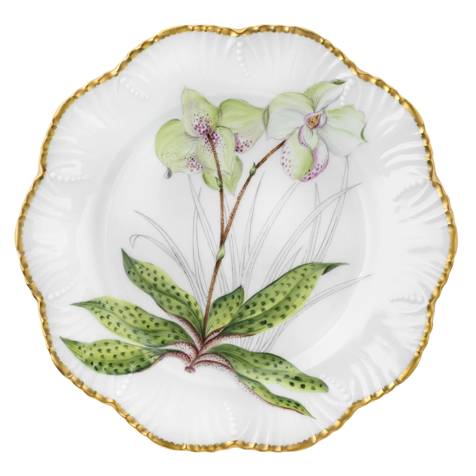 Pinto, Histoire d’Orchidées, Dinner plate, cypripedium flavum