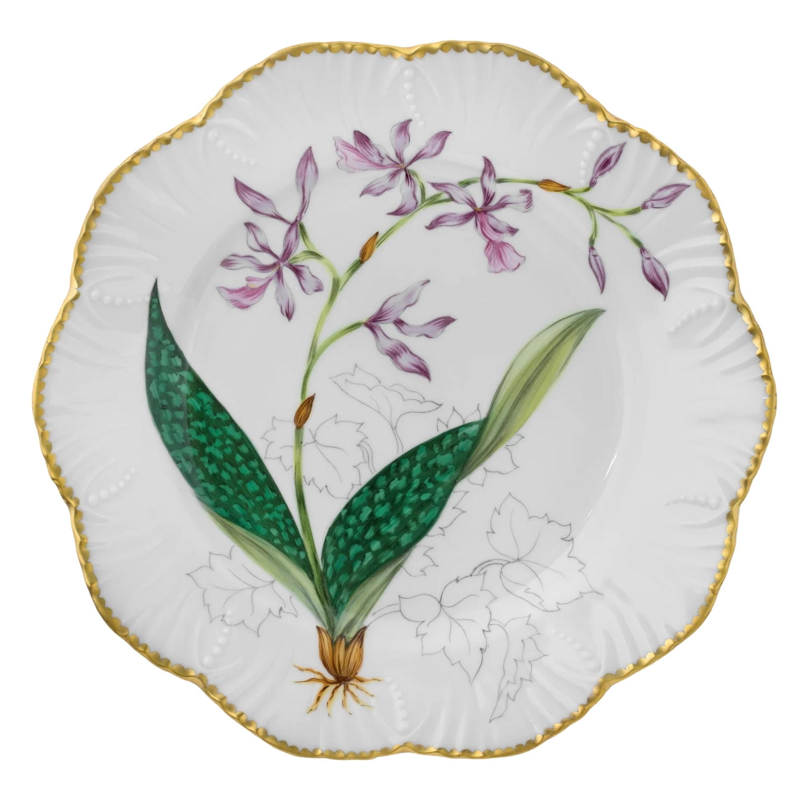 Pinto, Histoire d’Orchidées, Dinner plate, encyclia cordigera