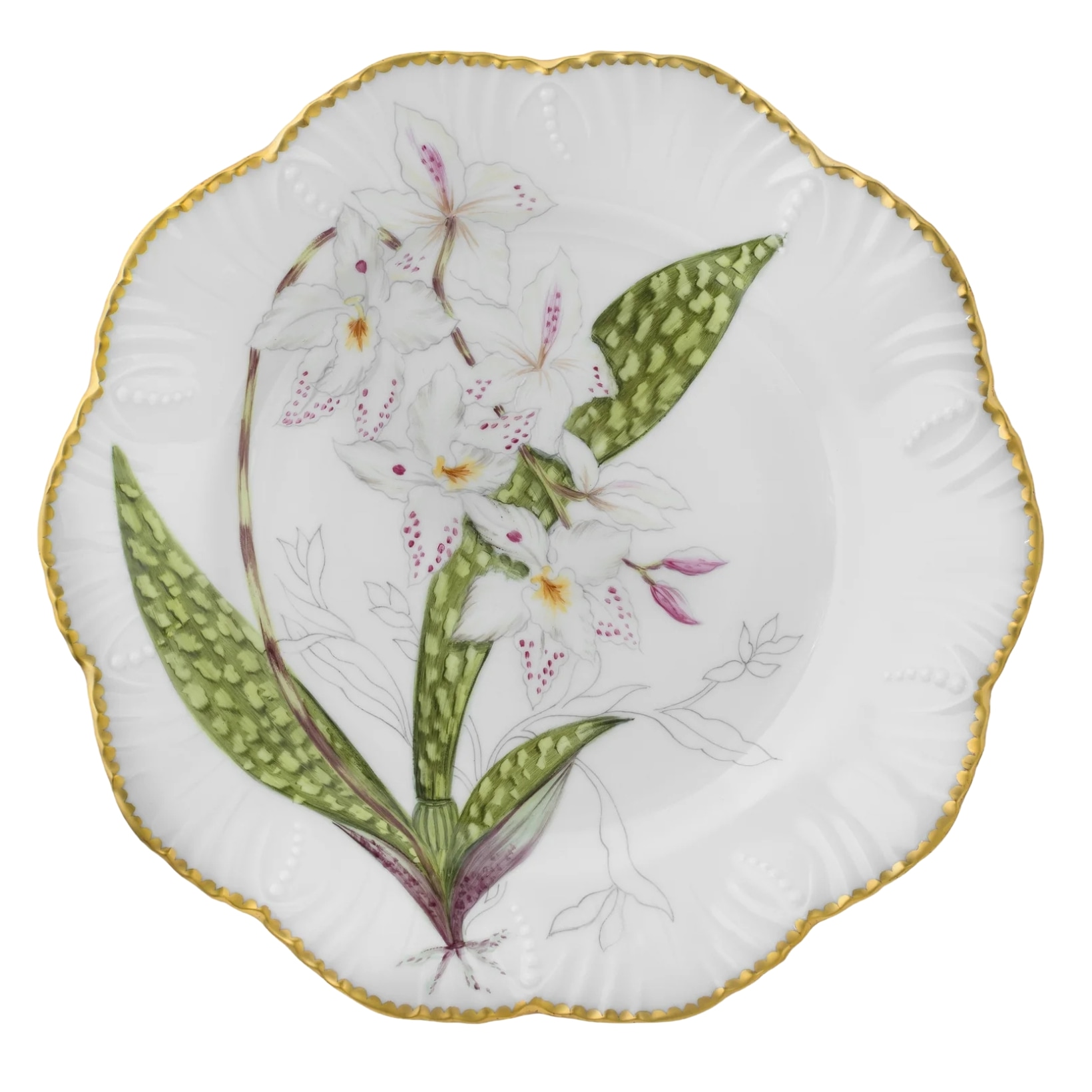 Pinto, Histoire d’Orchidées, Dinner plate, stanhopea tigrina