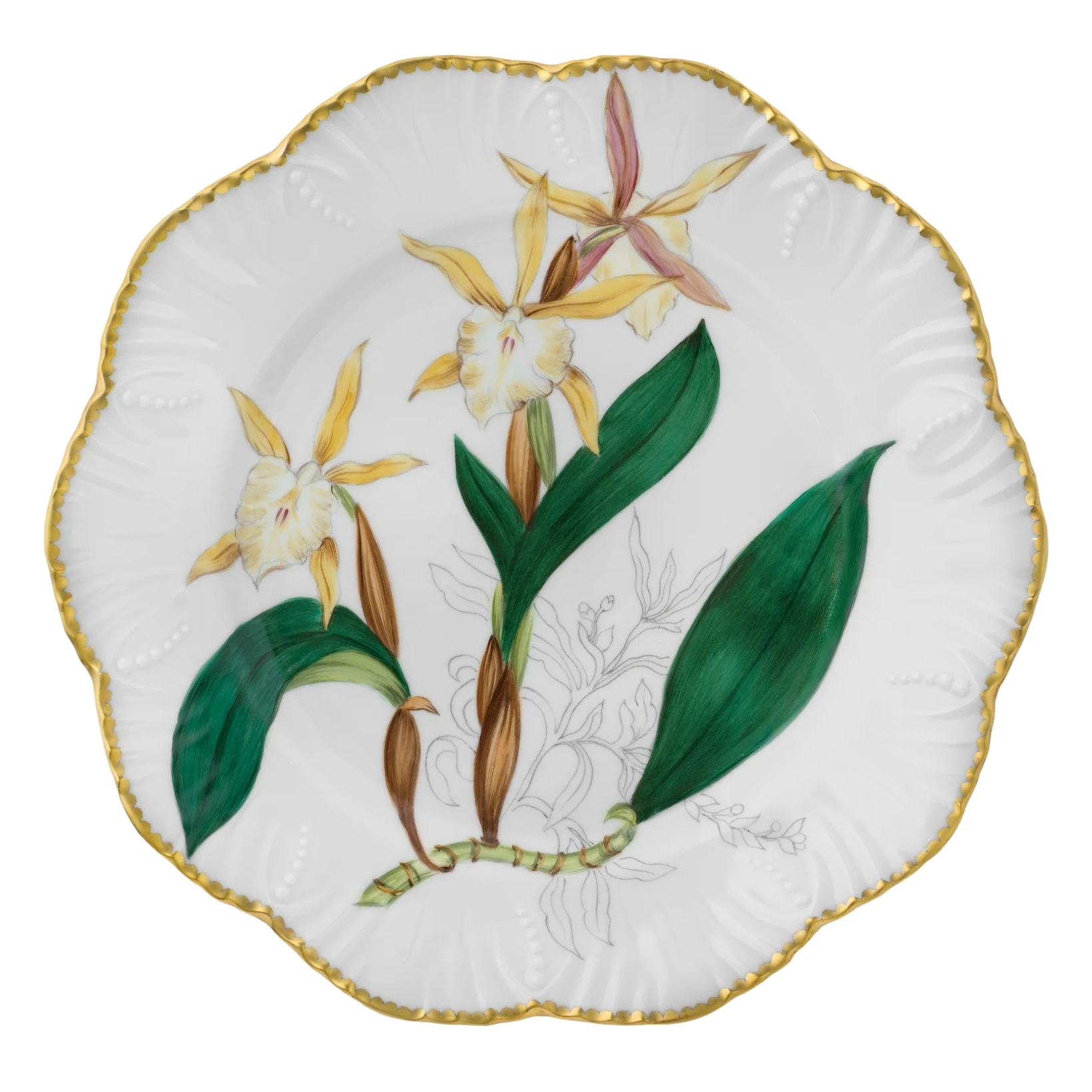 Pinto, Histoire d’Orchidées, Dinner plate, rhyncholaelia glauca