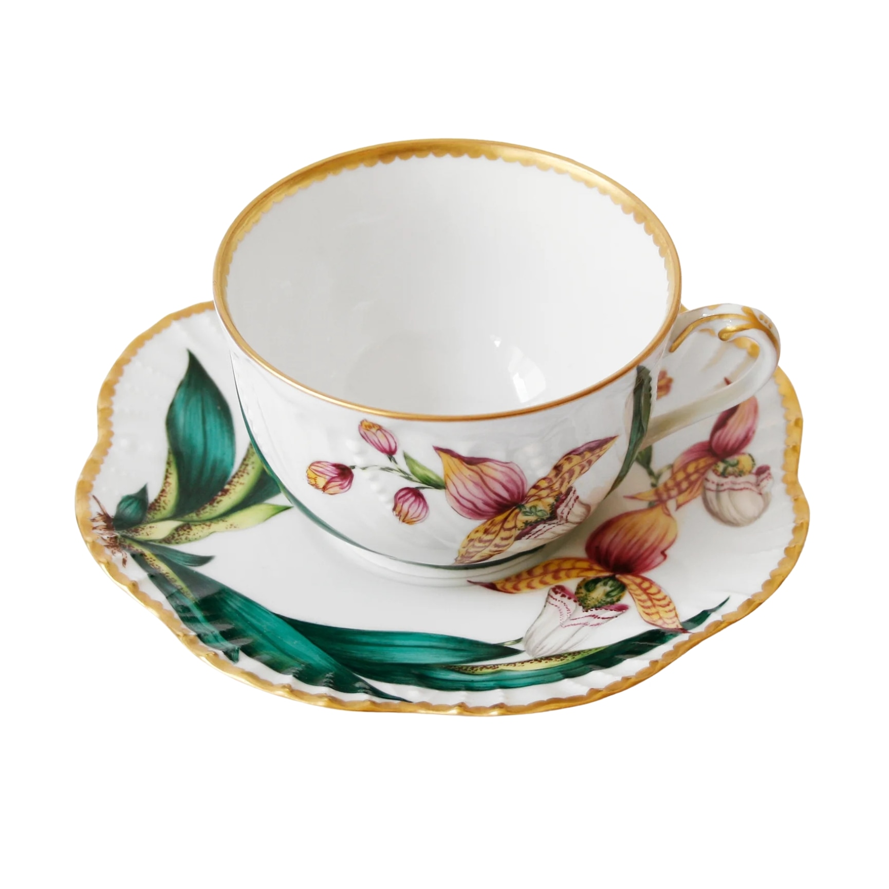 Pinto, Histoire d’Orchidées, Tea cup and saucer