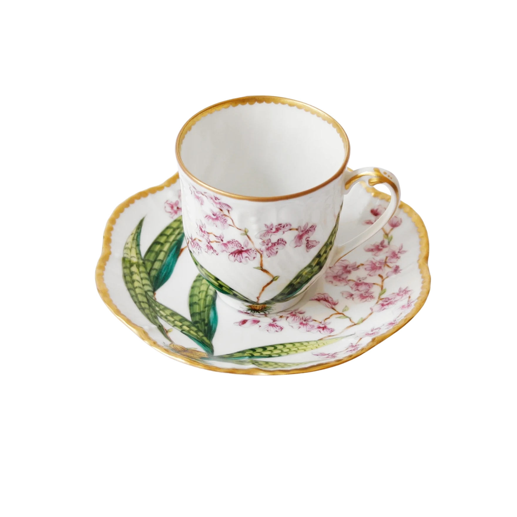 Pinto, Histoire d’Orchidées, Coffee cup and saucer
