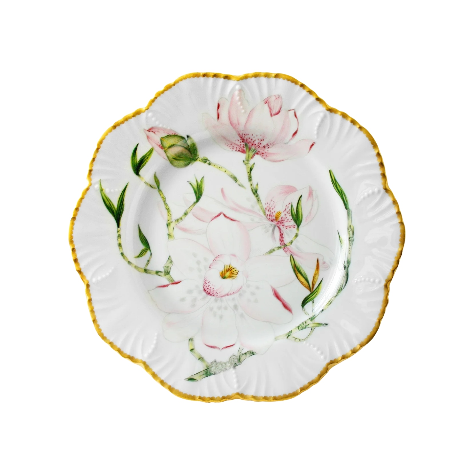 Pinto, Magnolia, Dinner plate
