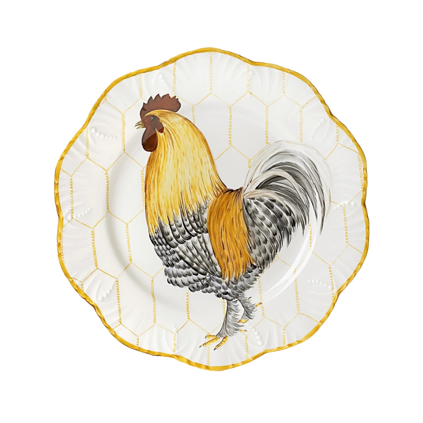 Pinto, Plumes, Dinner plate