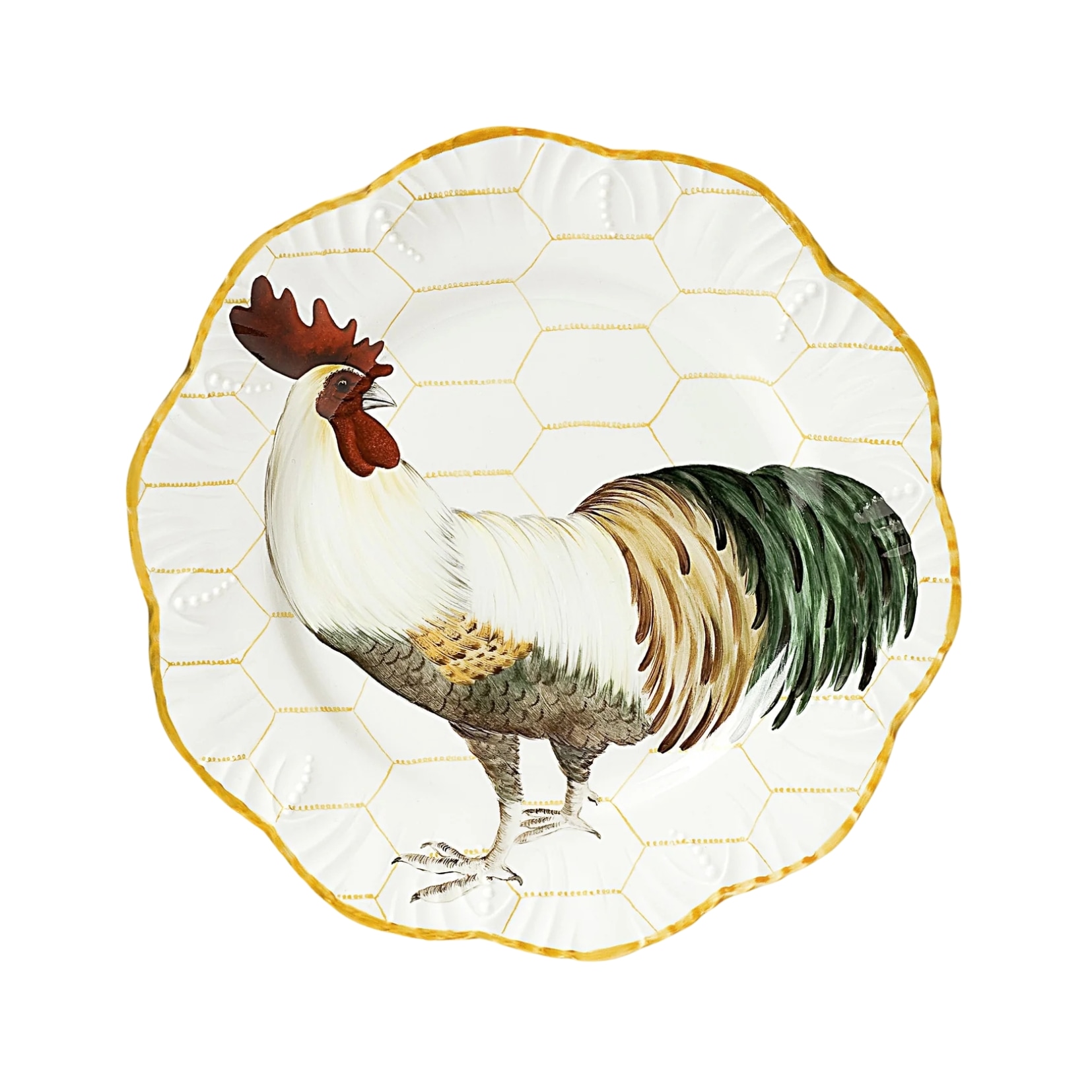 Pinto, Plumes, Dinner plate