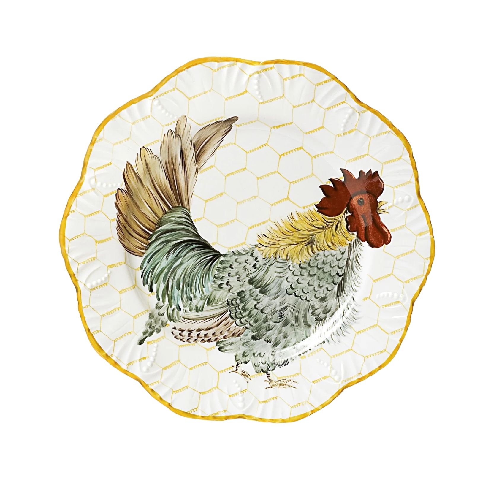 Pinto, Plumes, Dinner plate