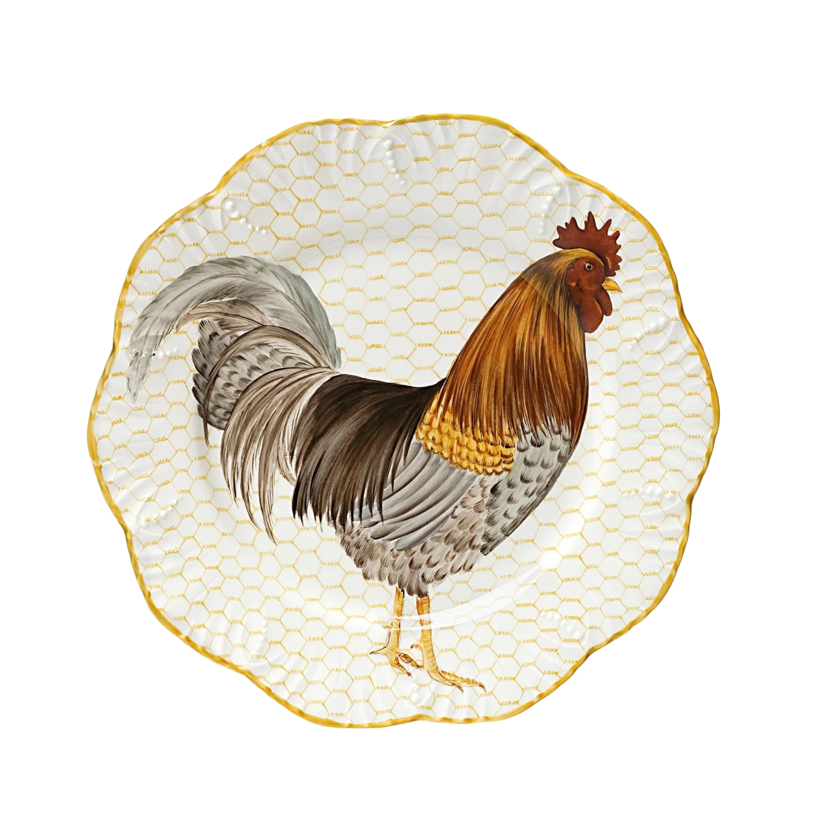 Pinto, Plumes, Dinner plate