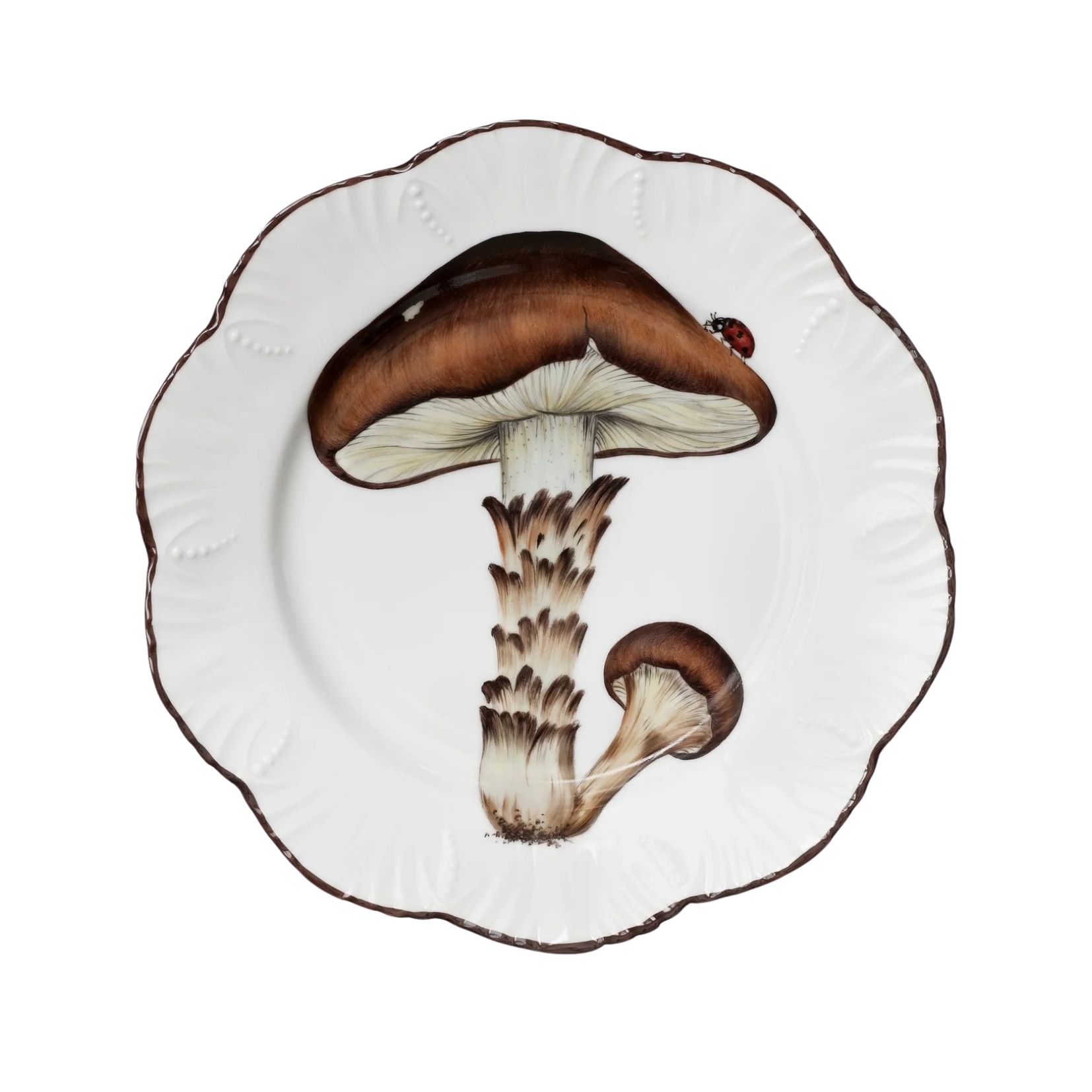 Pinto, Les champignons, Dinner plate