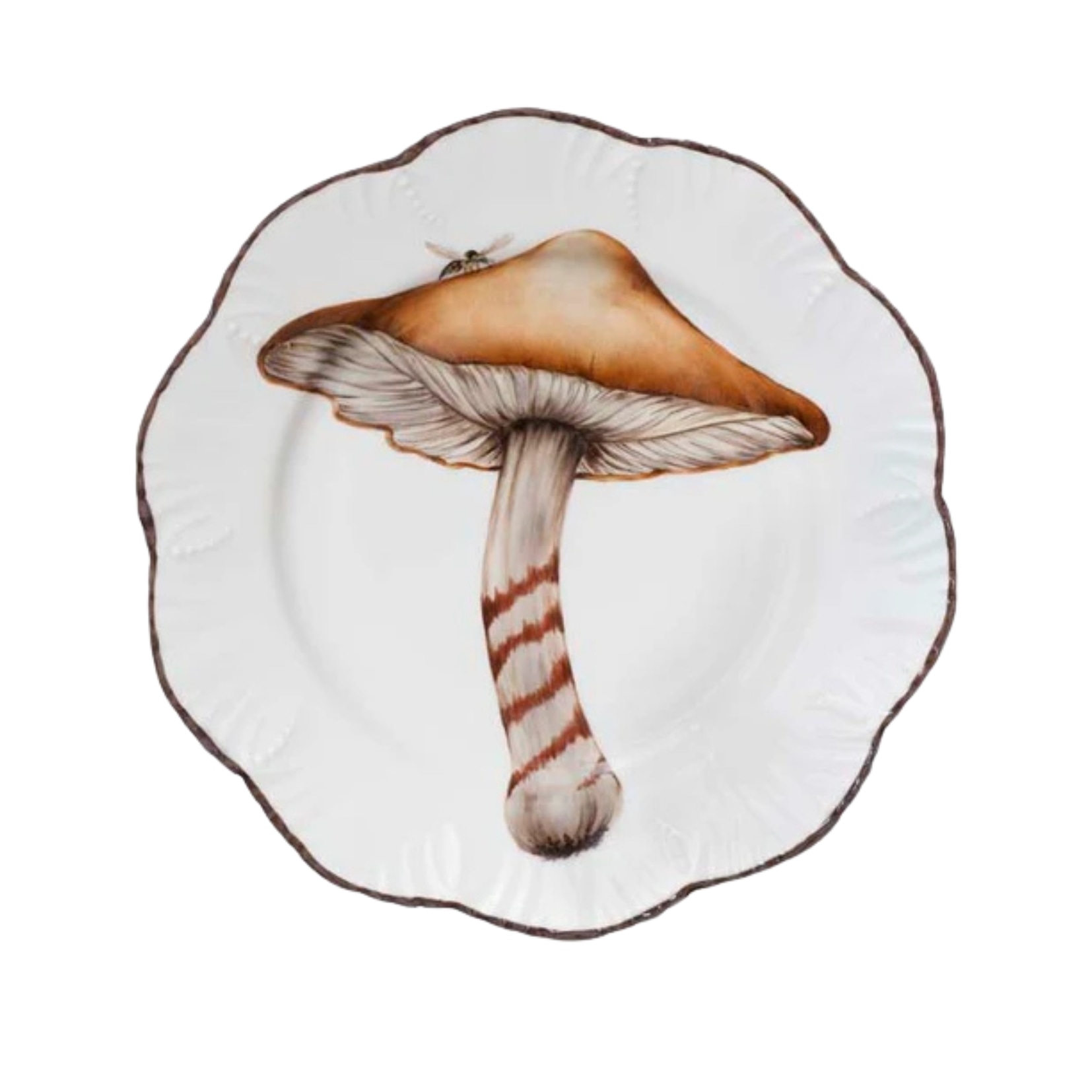 Pinto, Les champignons, Dinner plate